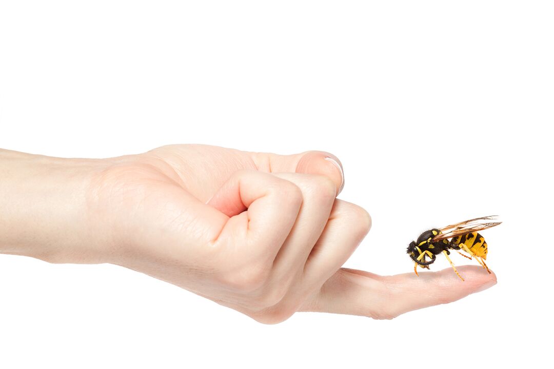Terapia con apitoxina para agrandamento do pene